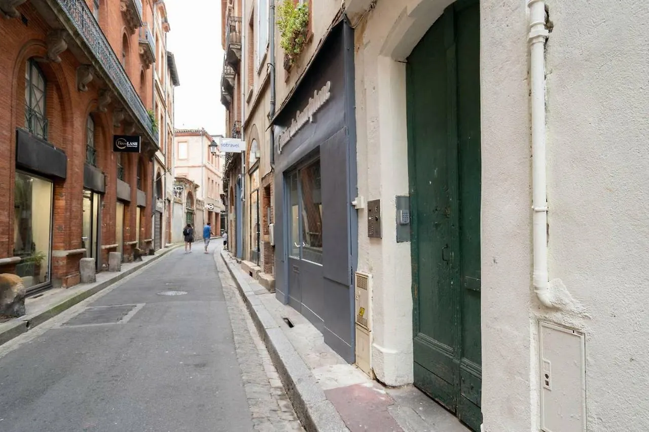 公寓 Appartement 1 - Tout Equipe Et Fonctionnel - Carmes, 圖盧茲 法国